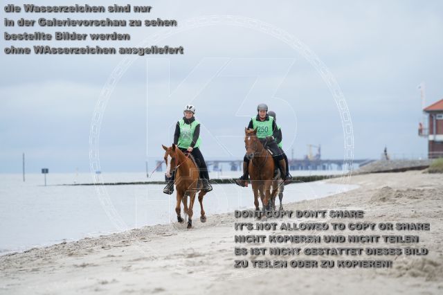 s_K3F04867.JPG